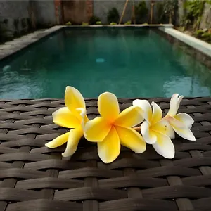 Eka Bali *** Убуд